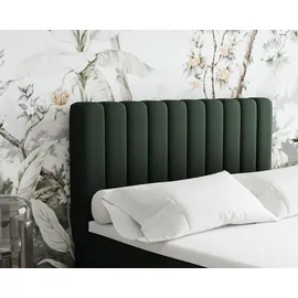 panda möbel Boxspringbett 120x200 EVEREST, mit Topper, mit Bettkästen, Einzelbett, Dunkelgrün, Panda Möbel - dunkelgrün