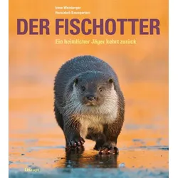 Der Fischotter