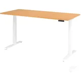 Hammerbacher Schreibtisch XDKB Buche / Weiß