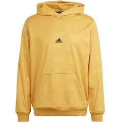 ADIDAS Herren Kapuzensweat Embossed, PREYEL, XL