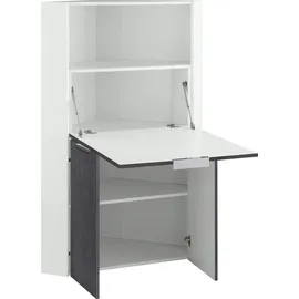 INOSIGN Sekretär INOSIGN "Dalia, Sekretär", grau (schiefer), B:90cm H:140cm T:56cm, Sekretäre, Sekretär, Eckschreibtisch mit Stauraum, Breite 90 cm, Made in Italy