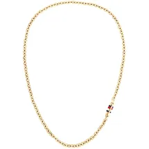 Tommy Hilfiger Anker Kette 2790651 Gold / Edelstahl