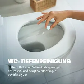 HAKA WC-Reiniger Tabs 30 St.