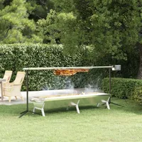 Möbel Rotisserie-Grill Automatisch Edelstahl - Holzkohlegrills 3152096