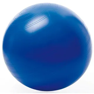 Togu Gymnastikball Sitzball ABS (Berstsicher), 55 cm,