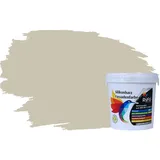 RyFo Colors Silikonharz Fassadenfarbe Lotuseffekt Trend Lichtgrau 1l - bunte Fassadenfarbe, weitere Grau Farbtöne und Größen erhältlich, Deckkraft Klasse 1
