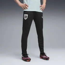 Puma Österreich Slim Jogginghose Schwarz L