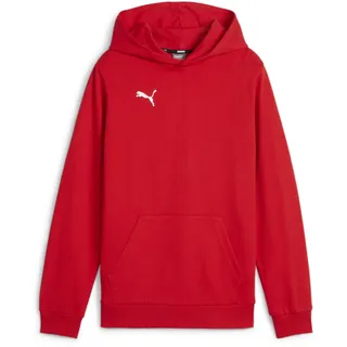 Puma teamGOAL Casuals Hoody Jr