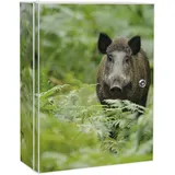 Banjado XXL Medizinschrank Abschliessbar 35x46x15cm Arzneischrank Weiß Aus Metall Mit Motiv Wildschwein