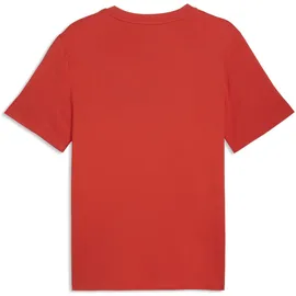 Puma Ägypten ftblCulture rot XL