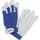 tecwerk Handschuhe Donau Gr.10 natur/blau EN 388 PSA II