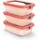 Emsa Frischhaltedose oneClick, Polyprophylen (PP), (Set, 3-tlg), verschlossen mit nur 1 x Klick, 100% dicht, made in Germany orange