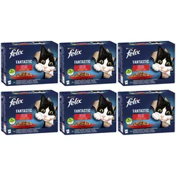 FELIX Fantastic Landaromen in Gelee 72x85g
