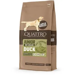 QUATTRO Ente Große Rassen Junior