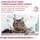 Royal Canin Calm Feline 2 x 4 kg