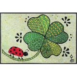 Wash+Dry Fußmatte Glück auf allen Wegen 50x75 cm,