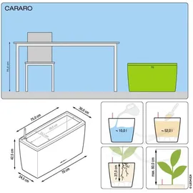 LECHUZA Cararo Komplettset 75 x 30 x 43 cm anthrazit metallic