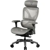 ThunderX3 Xtc Grau