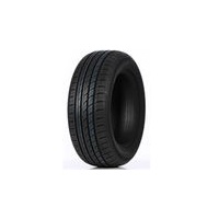 Double coin DC99 205/55 R16 91V)