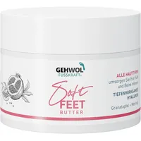 Eduard Gerlach Gehwol Soft Feet Butter 100 ml