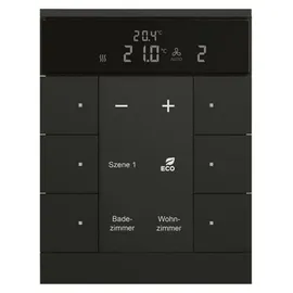 Busch-Jaeger SBR/U6.0.11-885 Raumthermostat