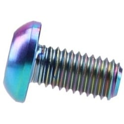 Titanschraube M5x10 mit Linsenkopf Torx oil slick