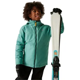Dare 2b Impose V Jacke Bristol Blue 146