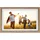Rollei Smart Frame WiFi 152 Wood Brown| Preis nach Code SOMMER