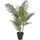 vidaXL vidaXL, Palme Künstlich Grün 80 cm PP