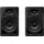 Pioneer DJ DM-40D