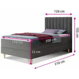 Sofnet Boxbett, Pink, H3, Rechteckig, 120x200 cm, Schlafzimmer, Betten, Boxspringbetten