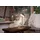 OTTO home Tischleuchte Akku Tischlampe Gerrin Indoor Outdoor, magnetischer Flaschenaufsatz, Dimmfunktion, Memoryfunktion, LED fest integriert, Warmweiß, Pilzlampe Flaschenaufsatz, Regulierung der Lichtstärke, Pilz, Lampe silberfarben