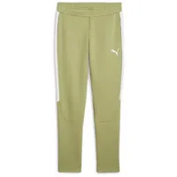 Puma teamEvostripe Trainingshose Herren 40 calming green/silver/white S