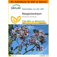 SAFLAX - Garden in the Bag - Blauglockenbaum -