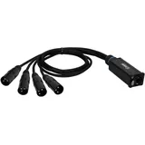 Adam Hall Cables Audio Adapter 1x RJ45 - 4x XLR-Stecker 3 polig 0,3m (K4CATBOXXM3)