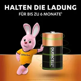 Duracell Akku D 3000 mAh 2 St.