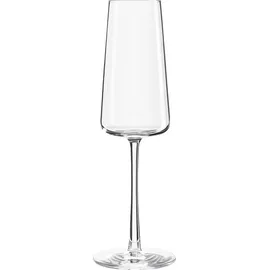Stölzle Power Champagnerglas 0,24 l 6er Set