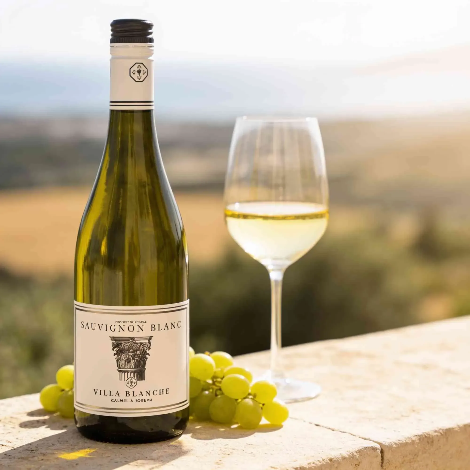 Calmel & Joseph 2023 Calmel & Joseph Villa Blanche Sauvignon Blanc 2023 Sauvignon Blanc Frankreich