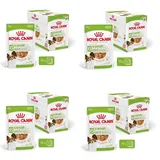 Royal Canin Sparpaket: Royal Canin X-Small Adult in Soße Hundefutter nass