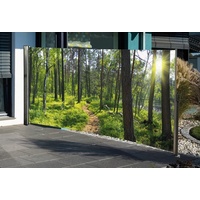 Westerholt Seitenmarkise mit Fotodruck Wald