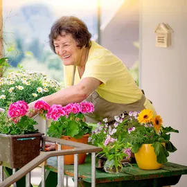 Relaxdays Marienkäferhaus, Holz, Marienkäferhotel Garten, zum Aufhängen, Insektenhotel für Marienkäfer, natur/braun