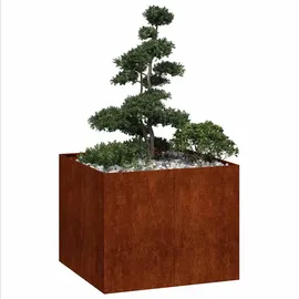 vidaXL Rostig 100 x 100 x 80 cm Braun