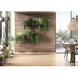 EGGER Design-Wandpaneele DecoWall Annaba Eiche Natur 125 cm x 66 cm