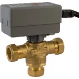 Bosch Warmwasser-Umschaltventil 28 mm,