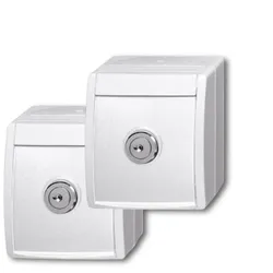 Busch-Jaeger 20/20 EWSL-54 20/20 EWSL-54 2Stk. SCHUKO® Steckdosen