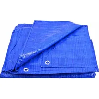 Awtools Blaue Plane 70 g 10 x 20 m