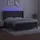 vidaXL Boxspringbett mit Matratze & LED Dunkelgrau 180x200 cm Samt