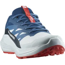 Salomon Alphaglide Herren Blau 44