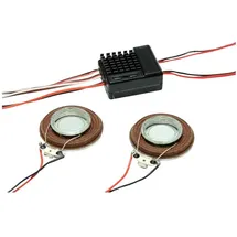 PICHLER Soundsystem PSM1 für Flugmodelle (C8388)