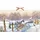 Coppenrath Verlag Wand-Adventskalender Winterponys